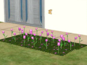 Screenshot Sims2