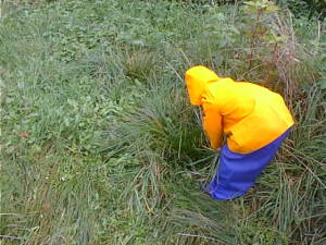 Child in grass