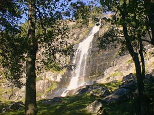 Waterfall in forest