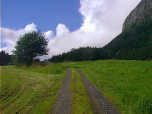 Wheel tracks