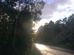 Sunlit wet road