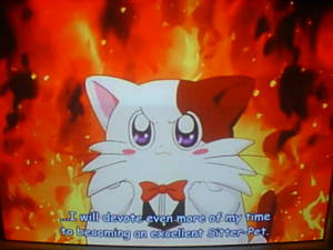 Screenshot anime Daa Daa Daa