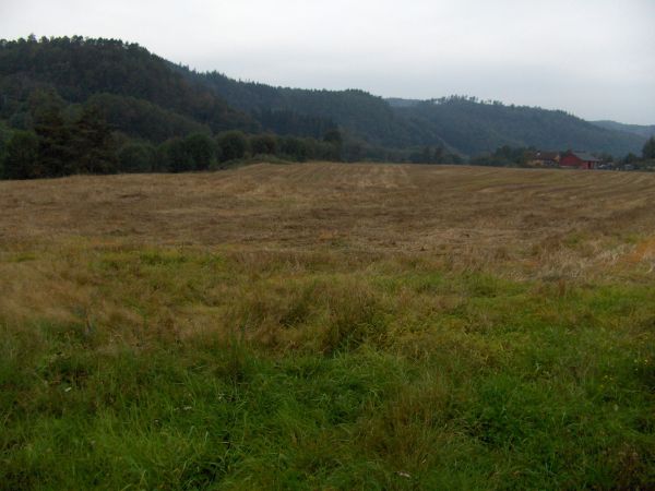Fields after harvest