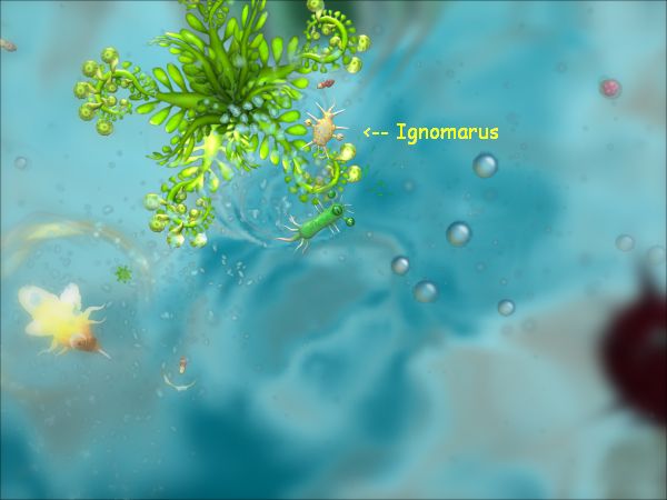 Screenshot Spore