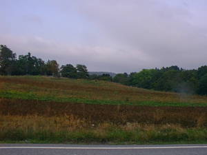Brown fields