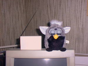 Furby